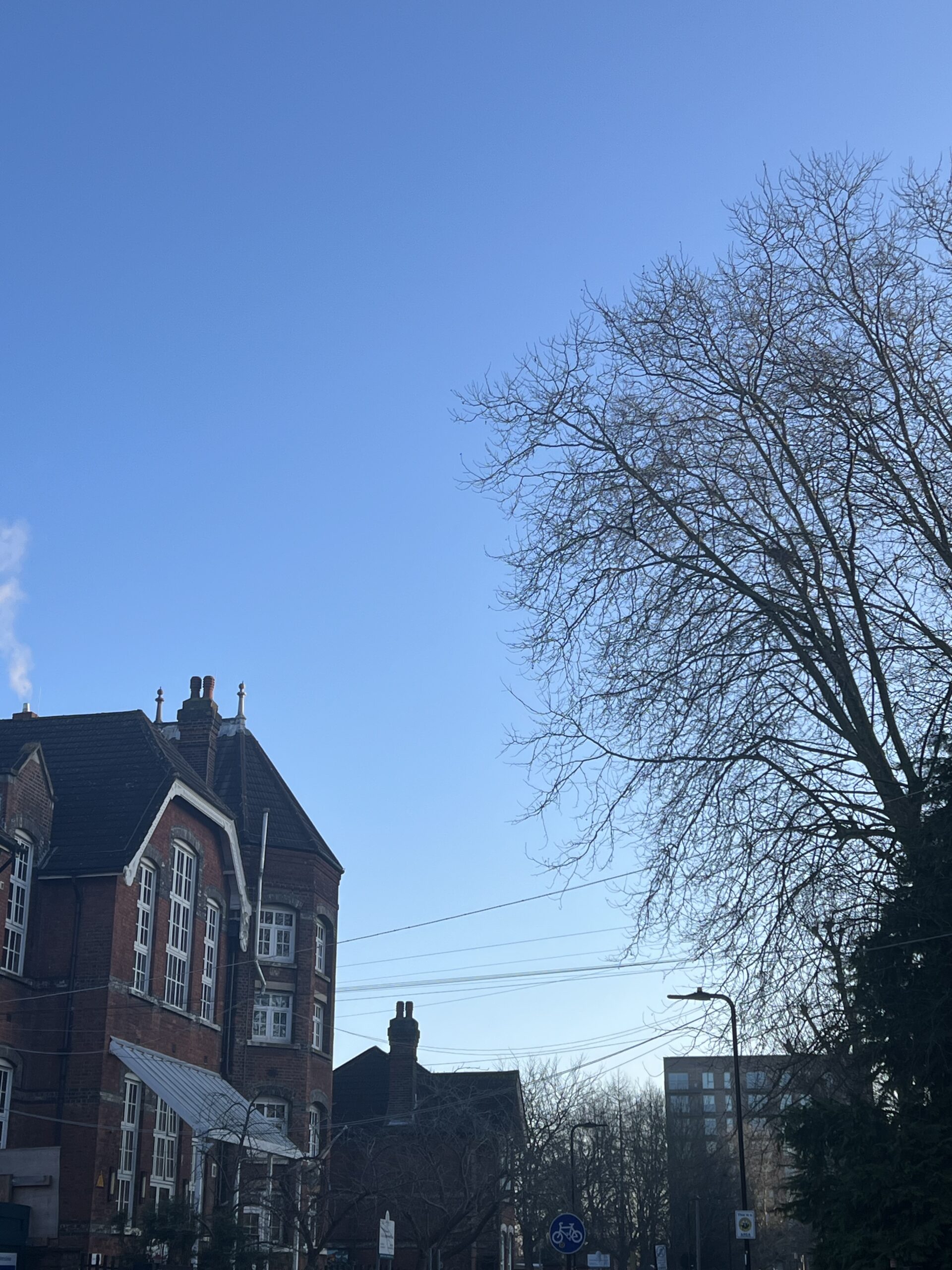 なぜ私は、１０年前にイギリスの歯科医師免許をとったのか。〜Bloom 開業の舞台裏１〜